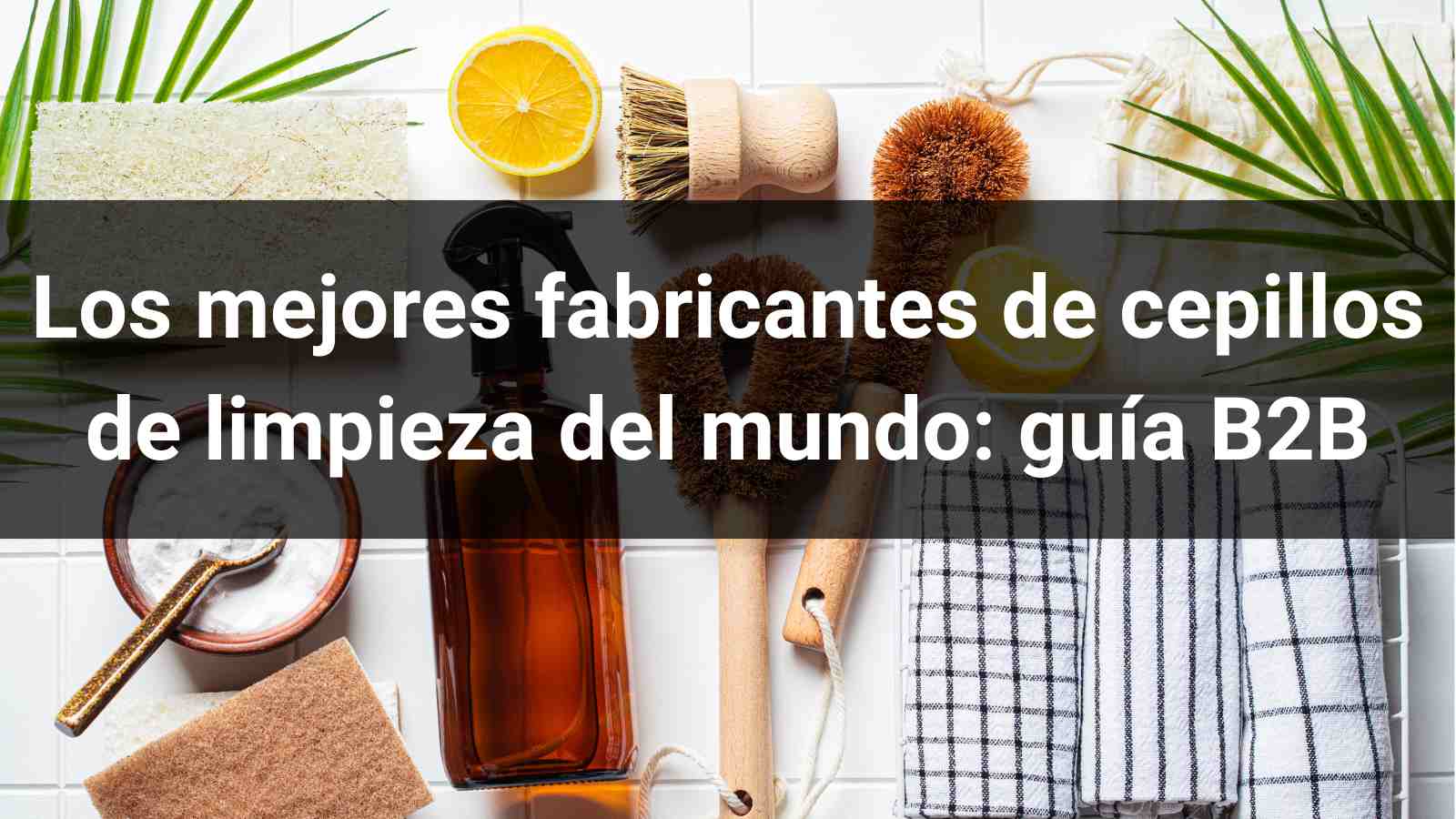 Los 10 mejores fabricantes de cepillos de limpieza del mundo en 2026: guía B2B