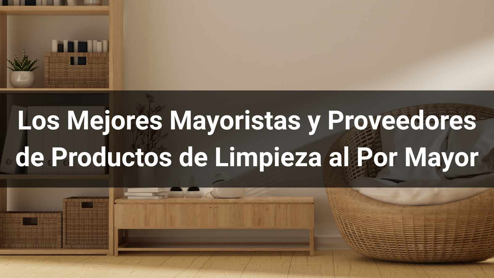 Los 10 Mejores Mayoristas y Proveedores de Productos de Limpieza al Por Mayor (Guía B2B 2026)