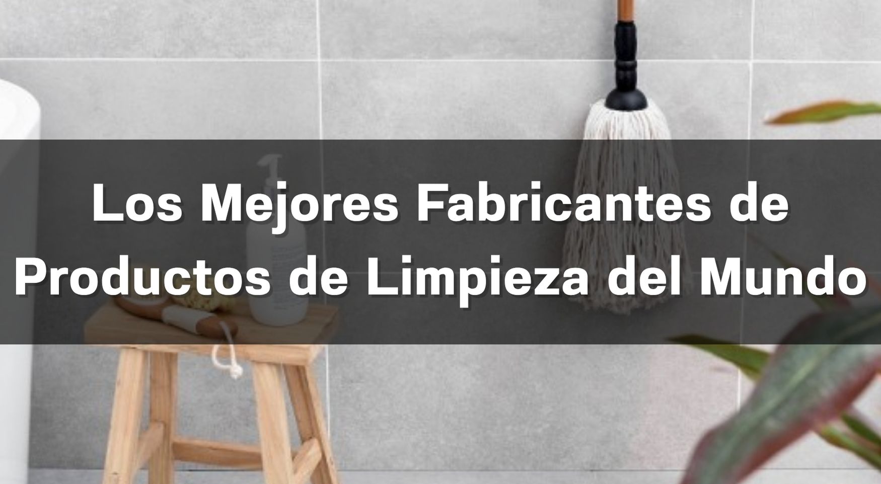 Los 10 Mejores Fabricantes de Productos de Limpieza del Mundo en 2026