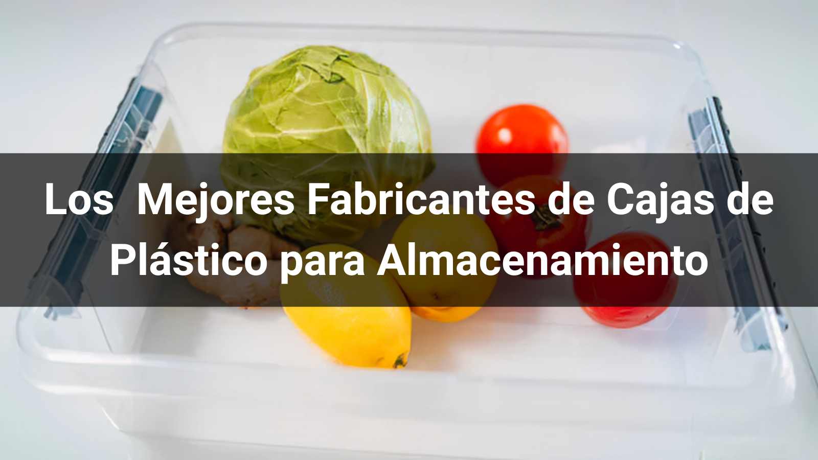 Los 8 Mejores Fabricantes de Cajas de Plástico para Almacenamiento (Guía B2B 2026)