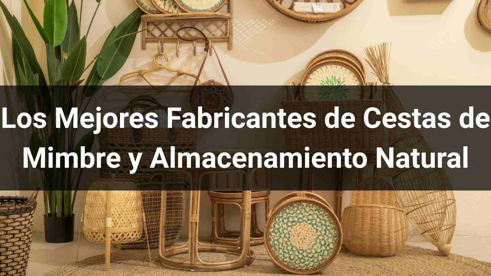 Los 5 Mejores Fabricantes de Cestas de Mimbre y Almacenamiento Natural