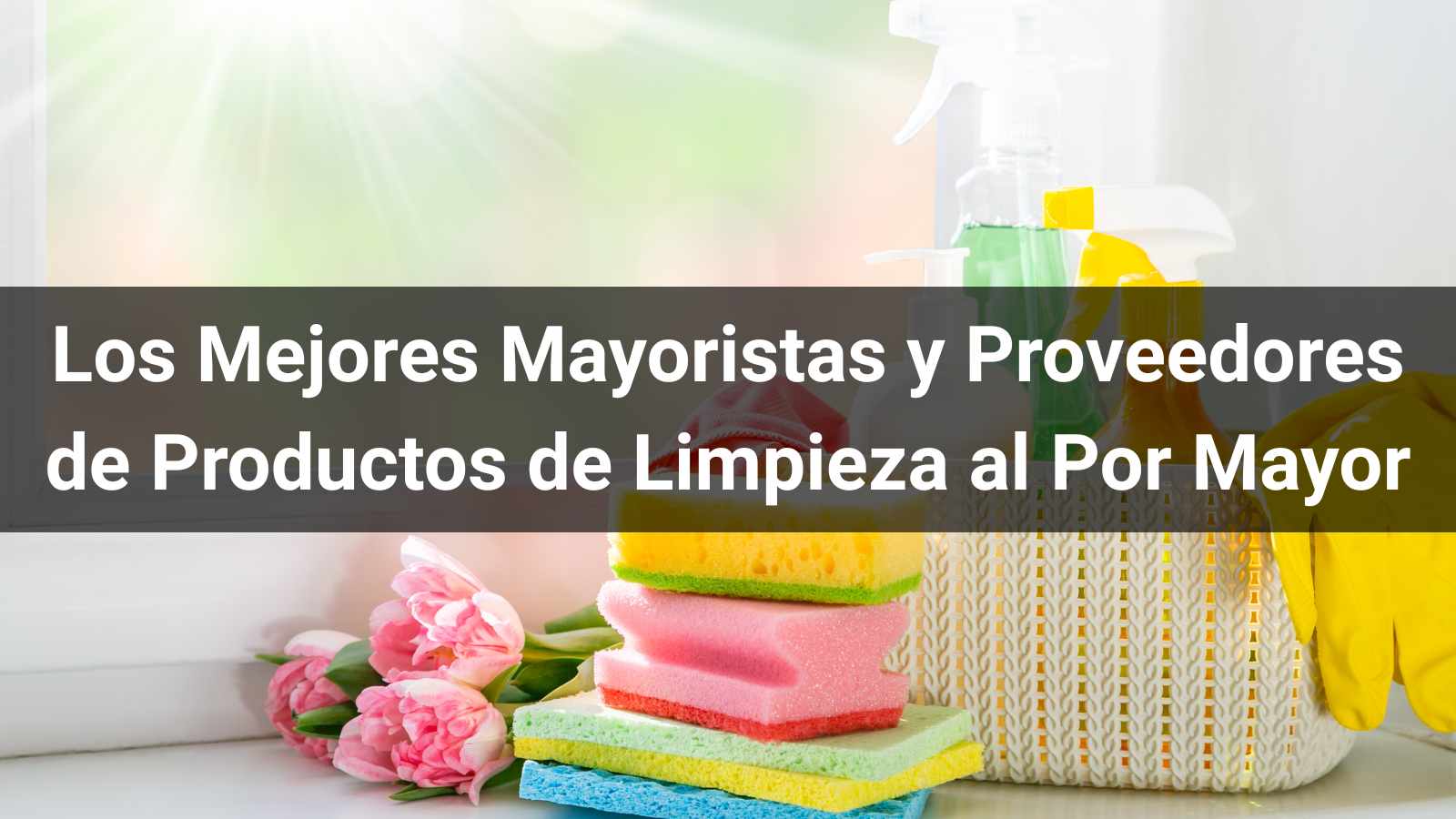 Los 8 Mejores Mayoristas y Proveedores de Productos de Limpieza al Por Mayor (Guía B2B 2026)