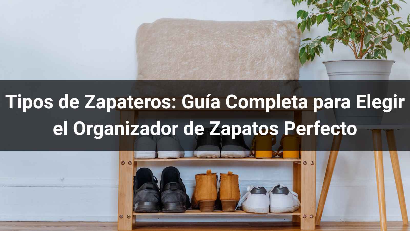 Tipos de Zapateros: Guía Completa para Elegir el Organizador de Zapatos Perfecto